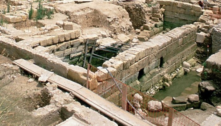 3fontdelslleonsDETALL