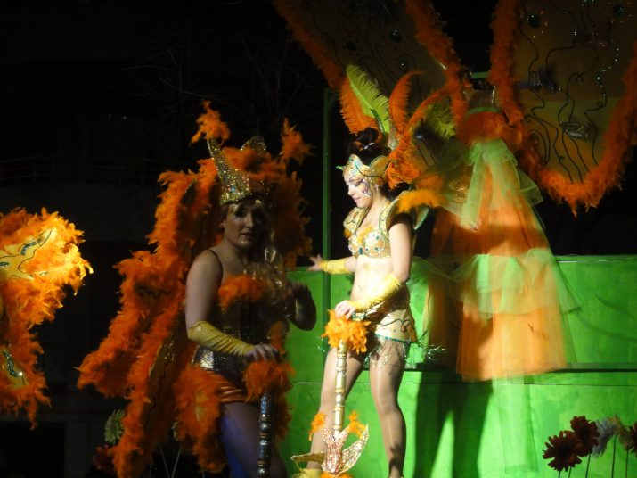 Una de les carrosses participants a la Rua de Carnaval del 2014