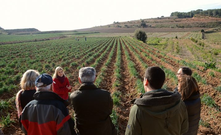 Imatge d'una visita a terres de Nulles on es conreen els calçots (foto: ADERNATS)