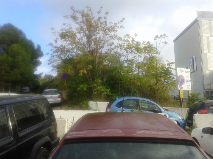 Cotxes aparcats de manera caòtica al costat de la URV, al final de l'avinguda Marquès de Montoliu 
