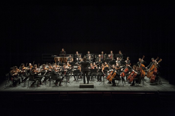 Un concert de l'Orquestra Camera Musicae la temporada passada (foto: Oliver Martínez) 