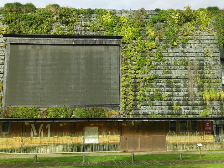 Estat actual del jardí vertical de la Tabacalera, una de les primeres iniciatives "smart2 de Tarragona. Foto: FET a TARRAGONA