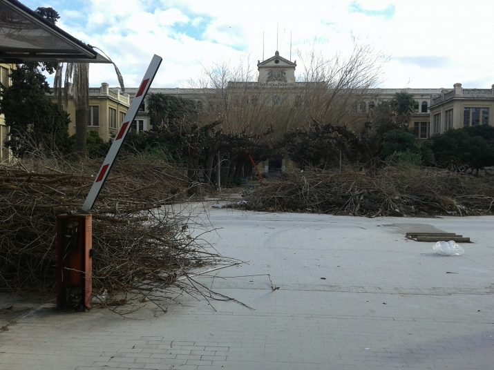 Aspecte de deixadesa dels jardins de Tabacalera. La fàbrica es va tancar fa 9 anys i encara no hi ha un pla director per donar-li ús. Foto: FET a TARRAGONA 
