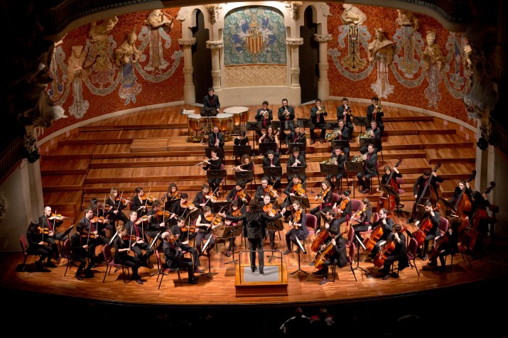 L'Orquestra Camera Musicae en un concert anterior al Palau de la Música. Foto cedida per l'OCM 