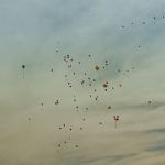 Screenshot_20200422-111922-2