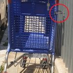 Visita Josep Lluís 3